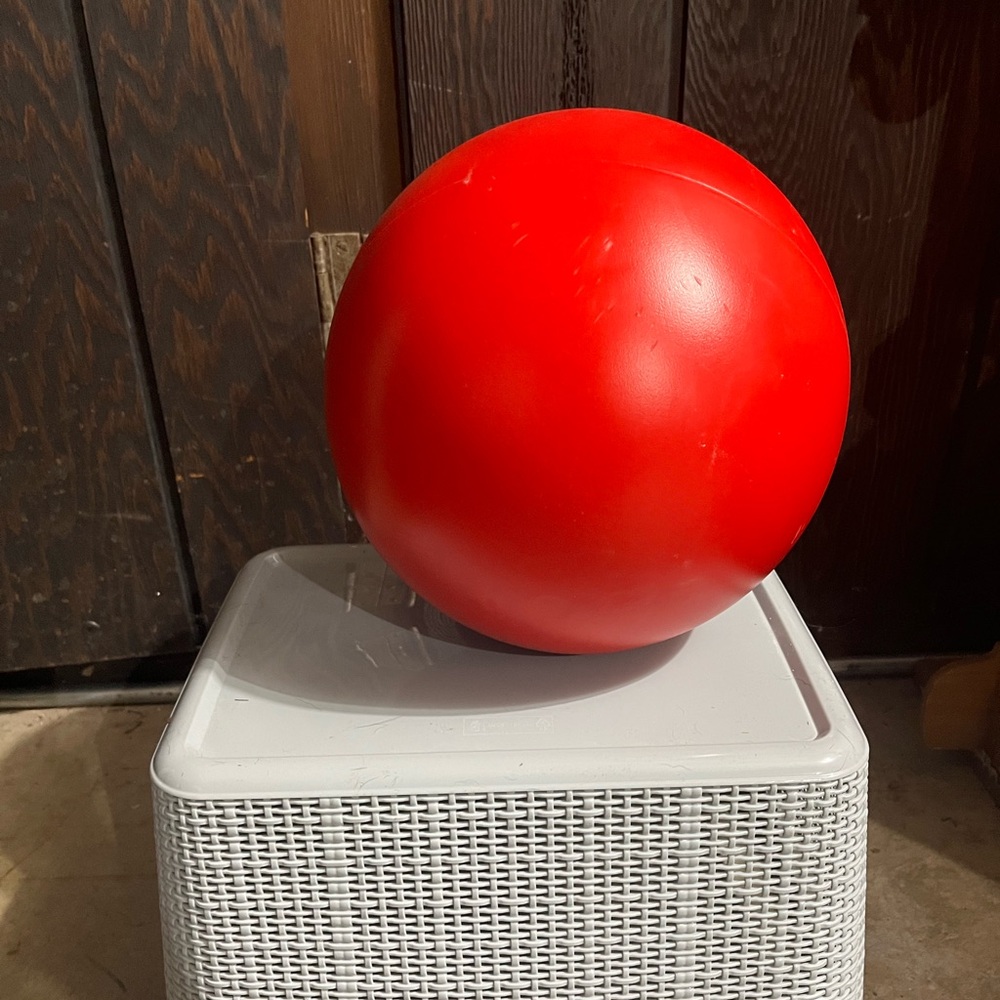 Doggie Dooley 10inch indestructible dog ball